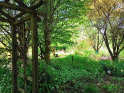 Rita offene Gartentor